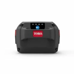 Castorama Batterie Toro 81860 60V 6Ah